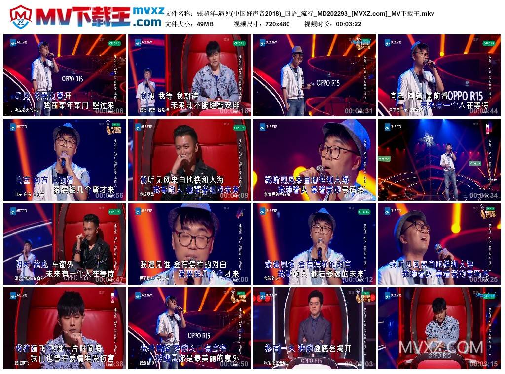 张超洋-遇见(中国好声音2018)_国语_流行_MD202293